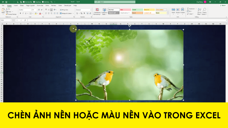 Chèn hình ảnh nền vào trong Excel