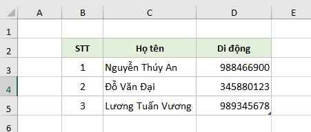 du-lieu-mau-dinh-dang-tuy-chinh-excel-so-dien-thoai