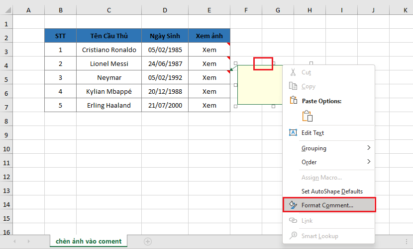 huong-dan-chen-anh-vao-trong-comment-trong-excel-buoc-4