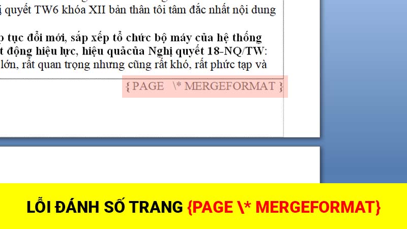 Lỗi đánh số trang {PAGE \* MERGEFORMAT}  trong Word