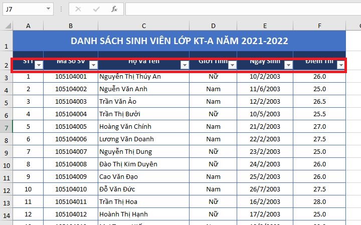 su-dung-bo-loc-filter-excel-2019-mau