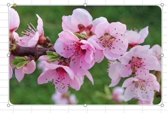 tao-shape-chu-nhat-anh-nen-4