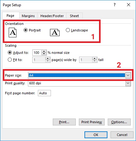 thiet-lap-page-layout-excel-2019-buoc-2