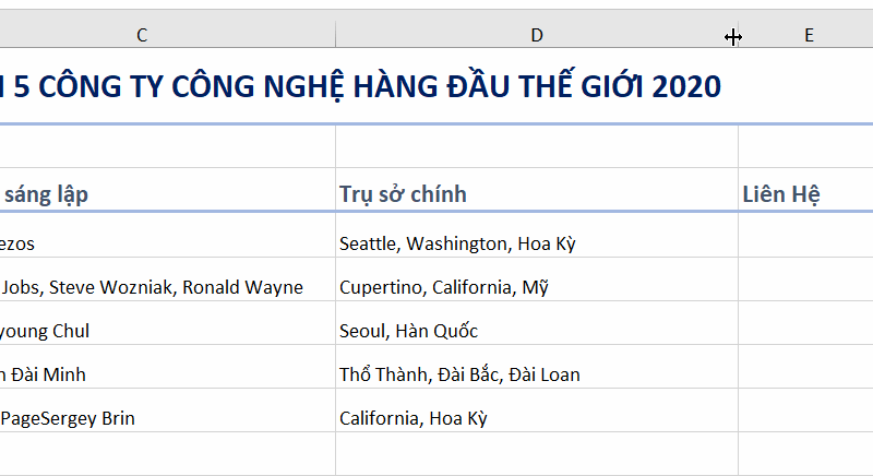 tinh-nang-autofit-excel-2019-buoc-2