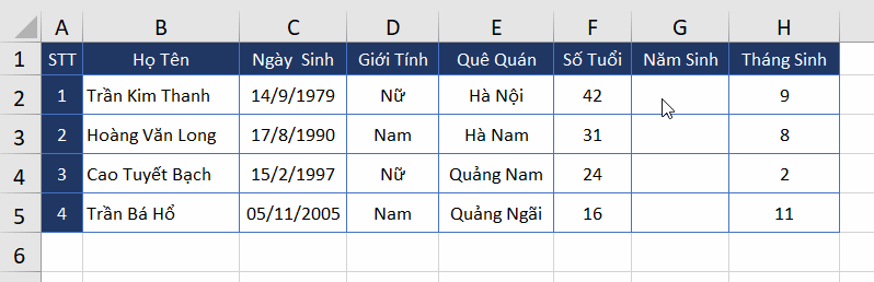 vi-du-2-ham-year-excel-2019-ket-qua