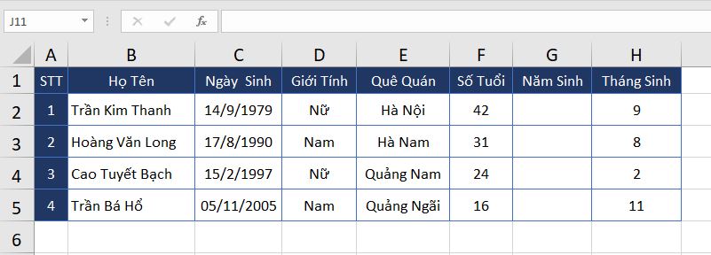 vi-du-2-ham-year-excel-2019-mau