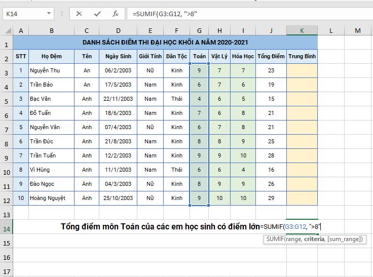 vi-du-tinh-sumif-trong-excel-2019-buoc-4